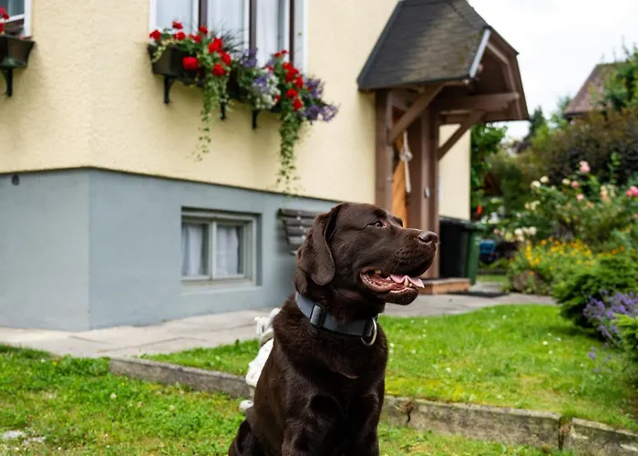 Сasa de vacaciones Of Heart